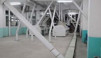 Grain Peeling Machine Development